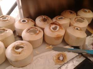 461760_10150870760923170_1921501206_o