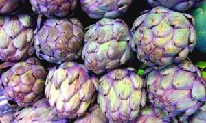 11800364_10204501059793675_4311643292421976938_n