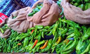 11896035_10204591787061800_204242981097297262_n